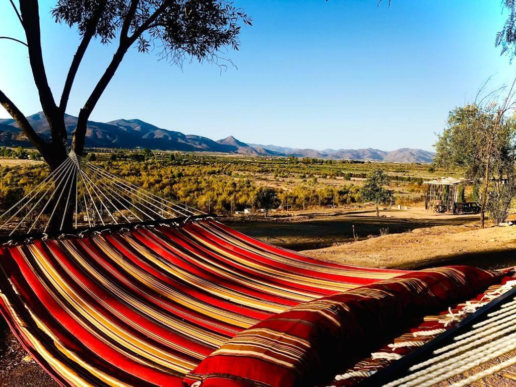 Terra Monarca Villa Valle de Guadalupe Buitenkant foto